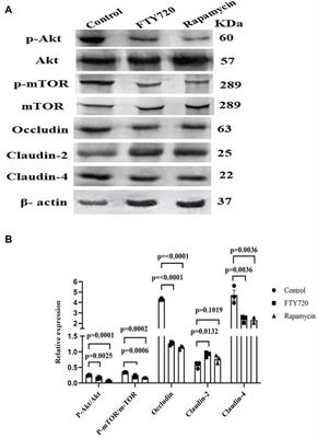 The functional antagonist of sphingosine-1-phosphate, FTY720, impairs gut barrier function